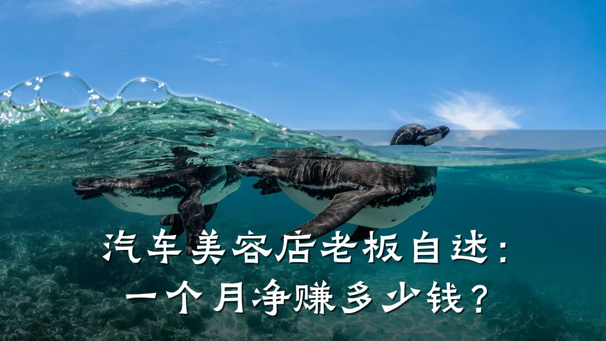 汽车美容店老板自述:一个月净赚多少钱?