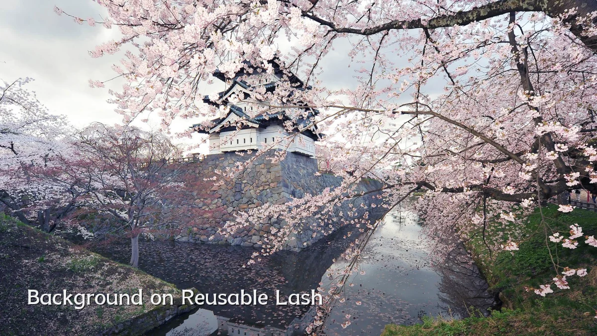 Background on Reusable Lash