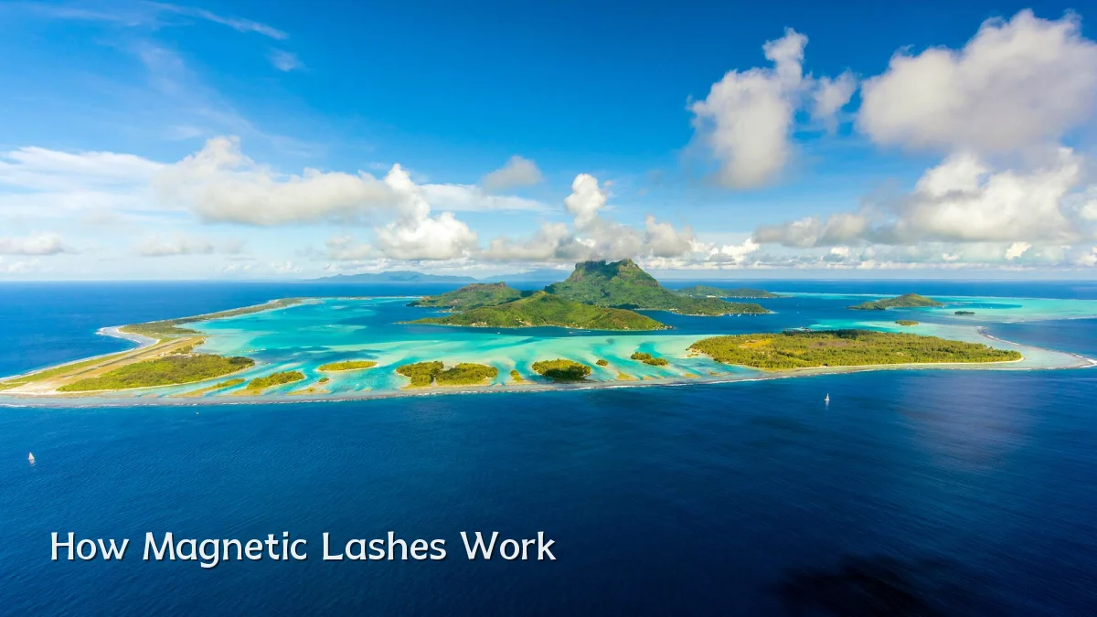How Magnetic Lashes Work