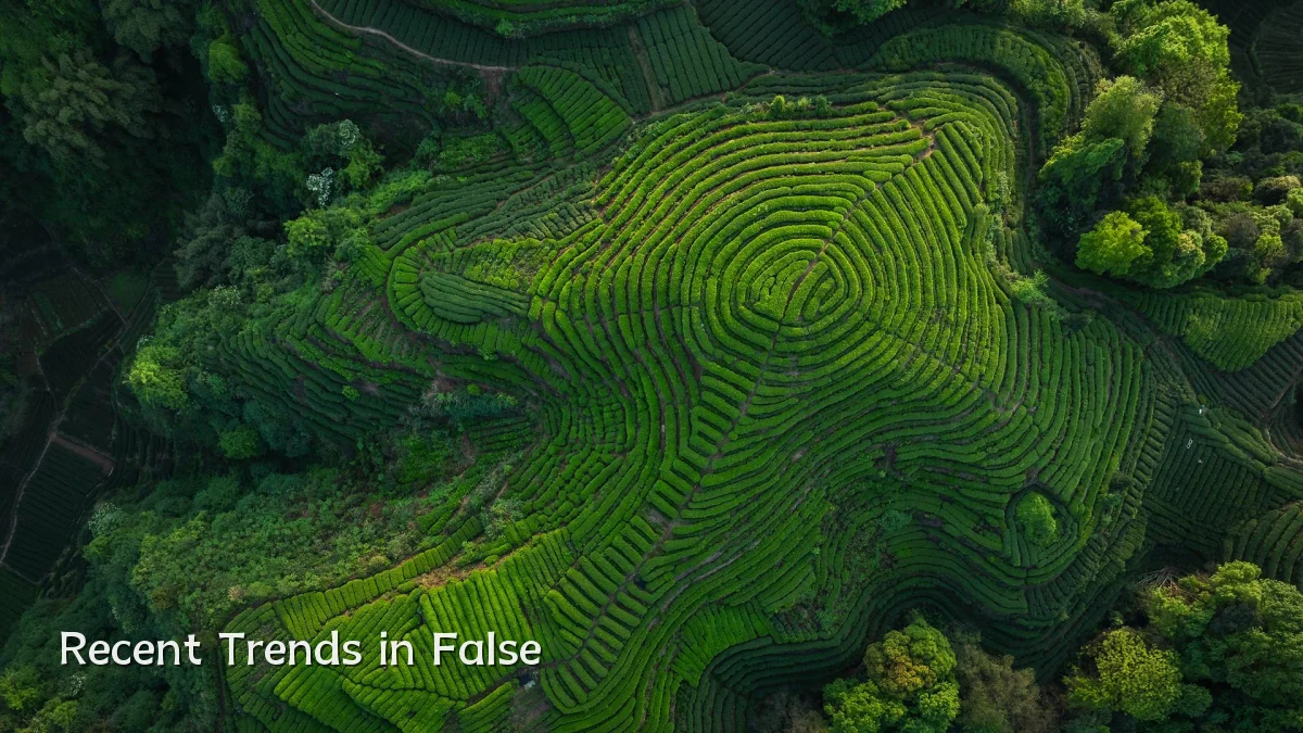 Recent Trends in False