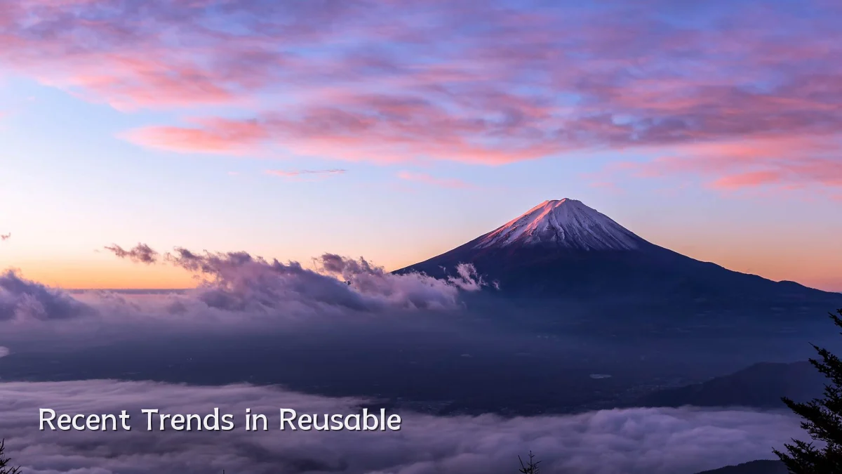 Recent Trends in Reusable