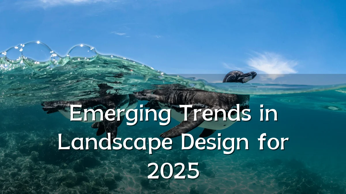 Emerging Trends in Landscape Design for 2025
