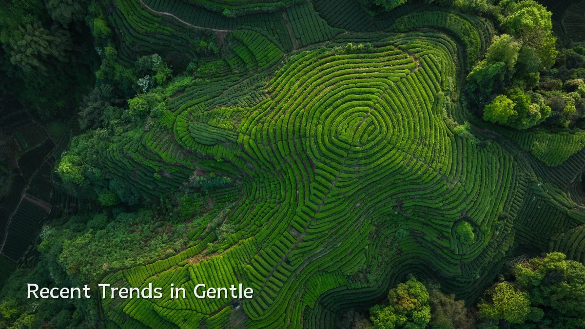Recent Trends in Gentle