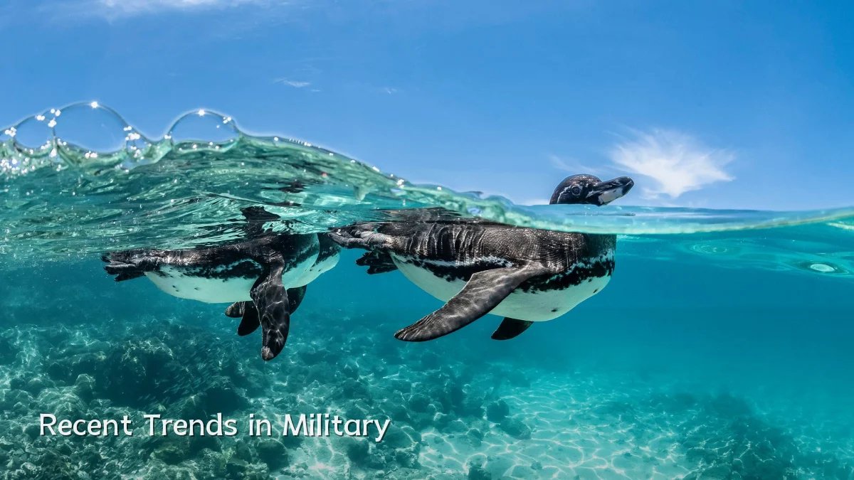 Recent Trends in Military