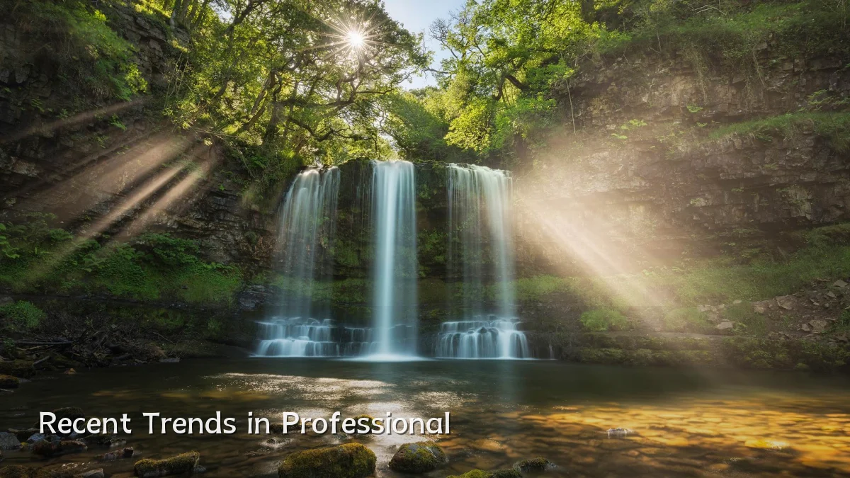 Recent Trends in Professional
