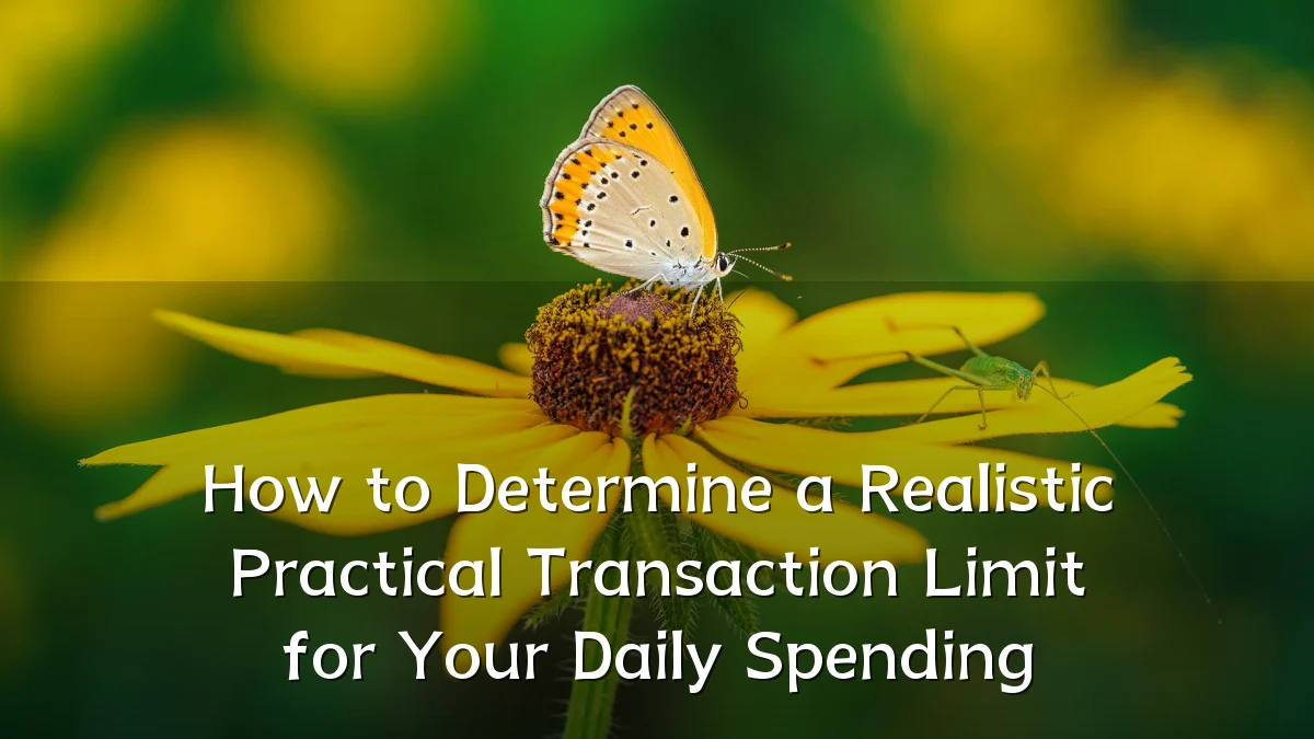 How to Determine a Realistic Practical Transaction Limit for Your Daily Spending