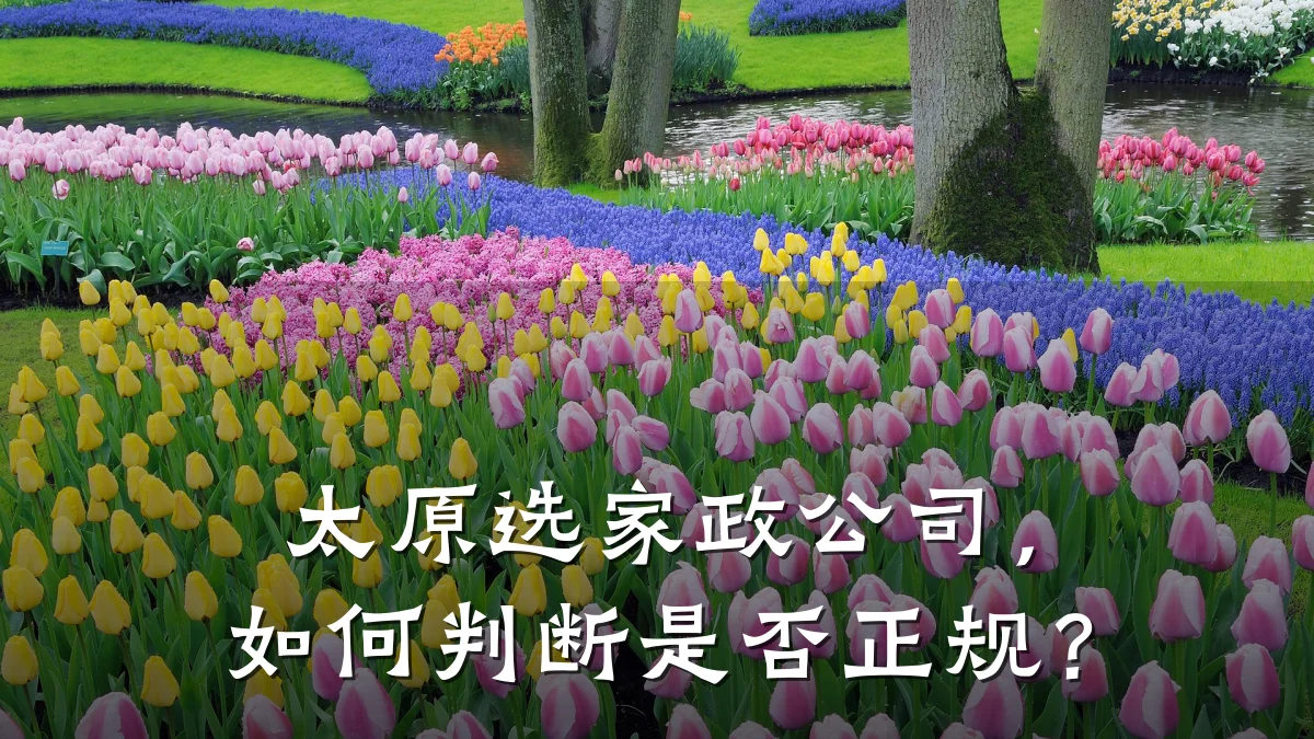 太原选家政公司,如何判断是否正规?