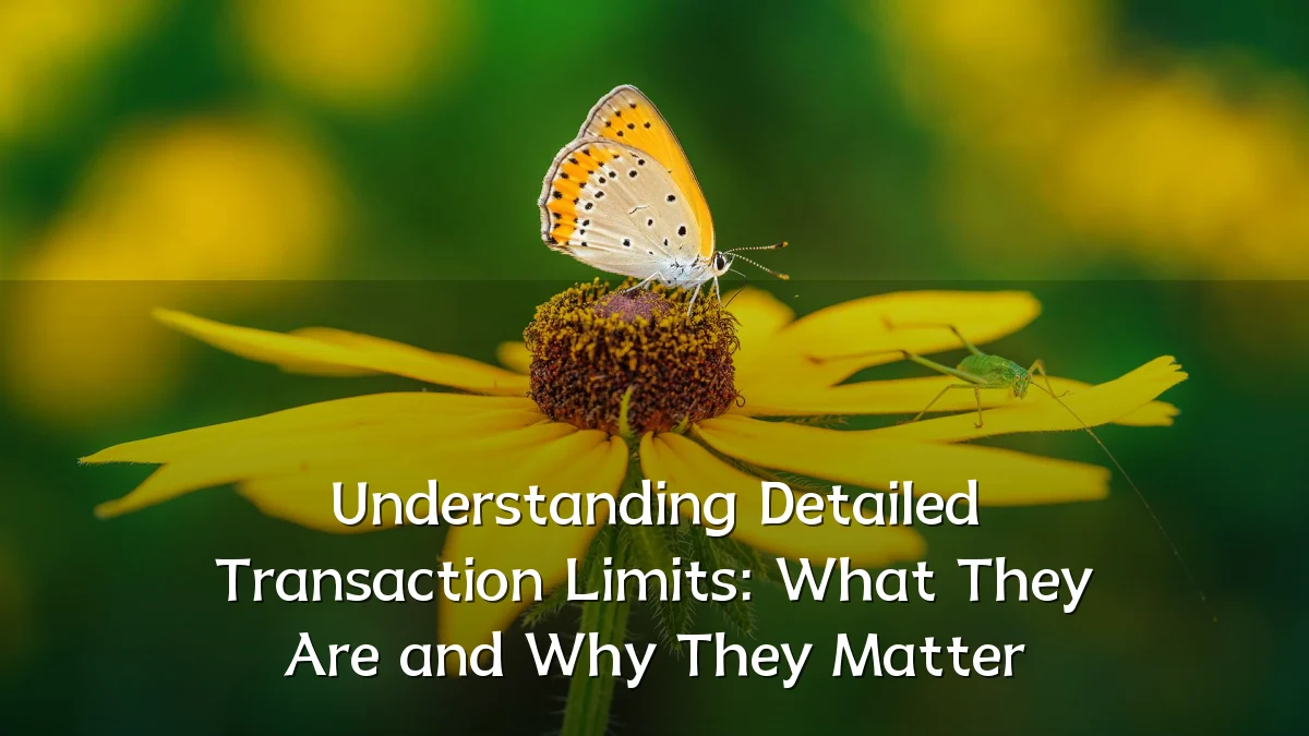 Understanding Detailed Transaction Limits: What They Are and Why They Matter