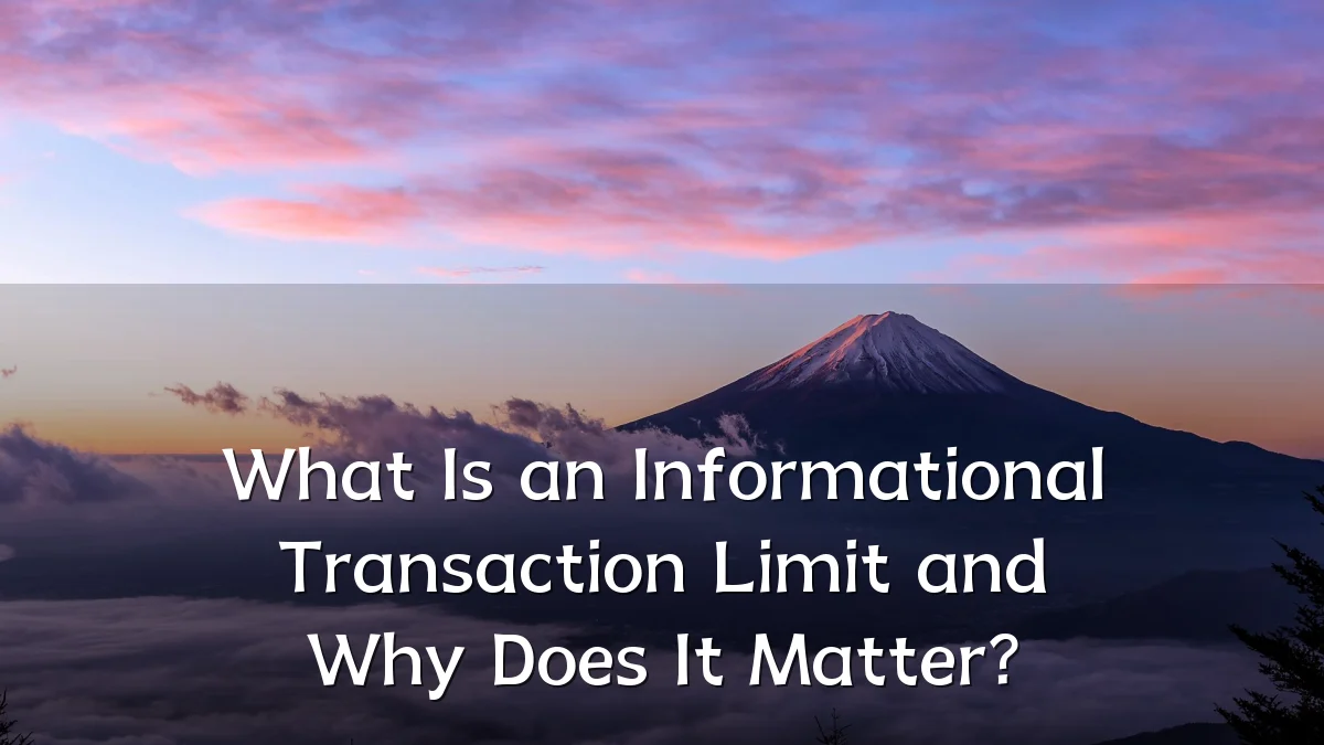 What Is an Informational Transaction Limit and Why Does It Matter?