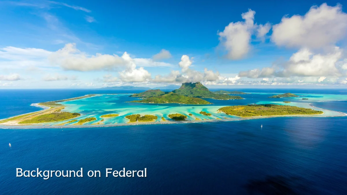 Background on Federal