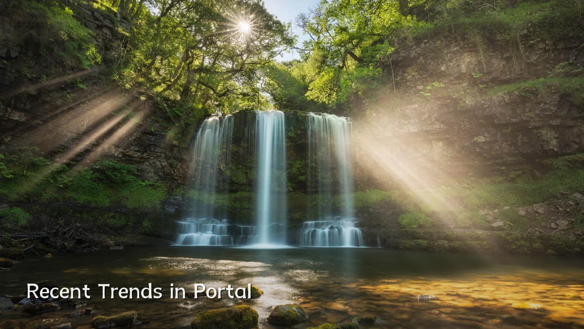 Recent Trends in Portal